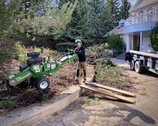 Chinook Arbor Services