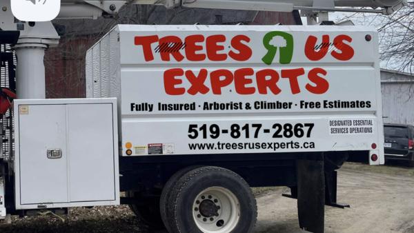Treesrus Experts
