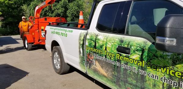 Grenacres Tree Removal Services