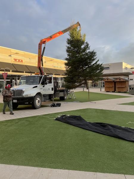 Alltree Services Inc.