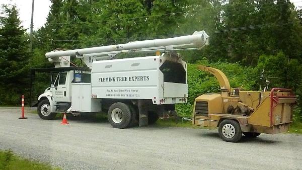 Fleming Tree Experts