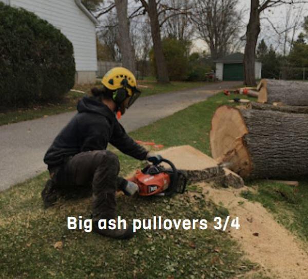 Vital Tree Care