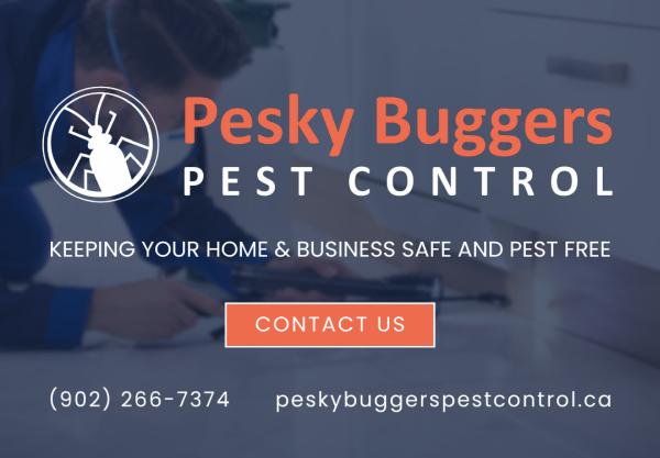 Pesky Buggers Pest Control