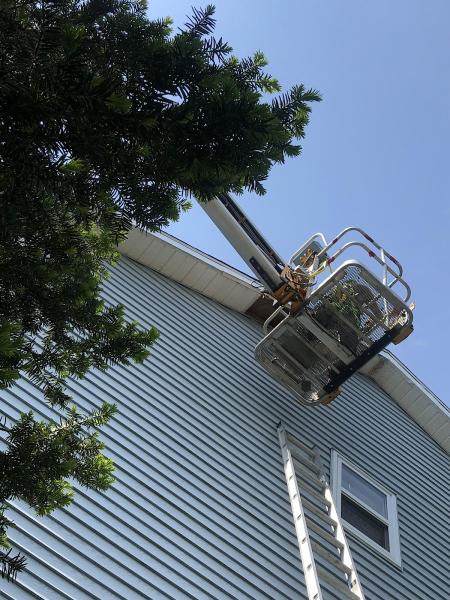 Pesky Buggers Pest Control