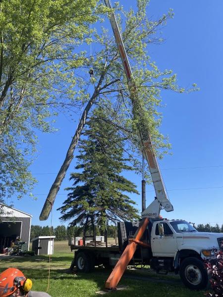 Andy's Tree Service Powered By Leschied Enterprises Inc.