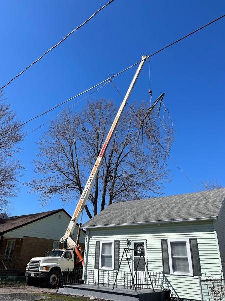 Andy's Tree Service Powered By Leschied Enterprises Inc.