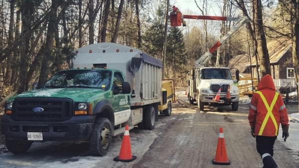 From the Ground Up Tree Services Inc