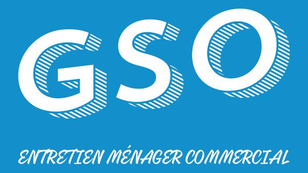 Le Groupe GSO Inc.