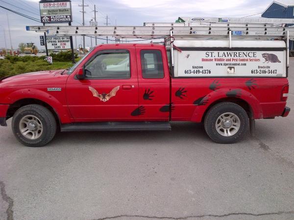 St-Lawrence Humane Wildlife and Pest Control Services Ltd.