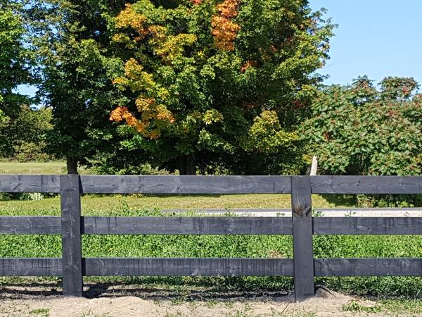 McGuire Fencing Limited