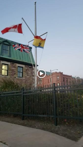 Dillon Consulting Limited