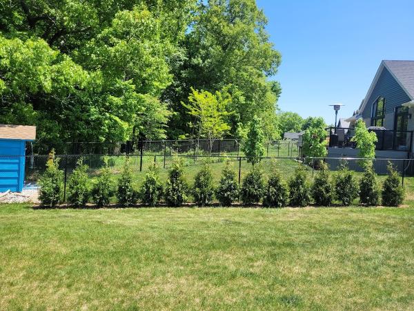 Cardinal Landscaping & Lawn Care