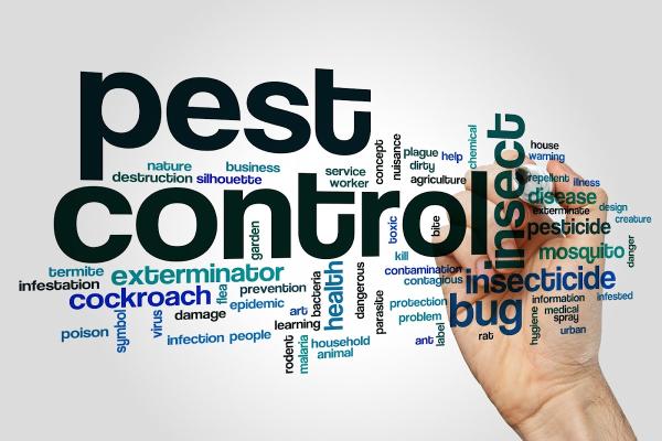 Contact Pest Control Toronto