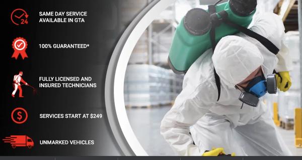 Contact Pest Control Toronto