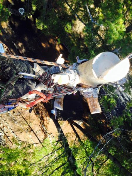 Beckett Tree Service