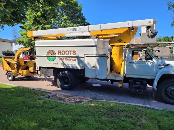 Roots Tree Service