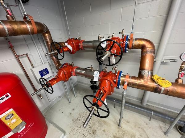 Transparent Backflow Services