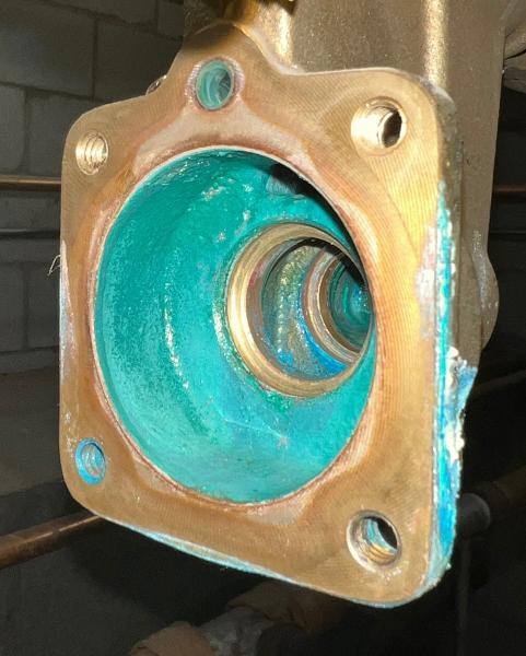 Transparent Backflow Services