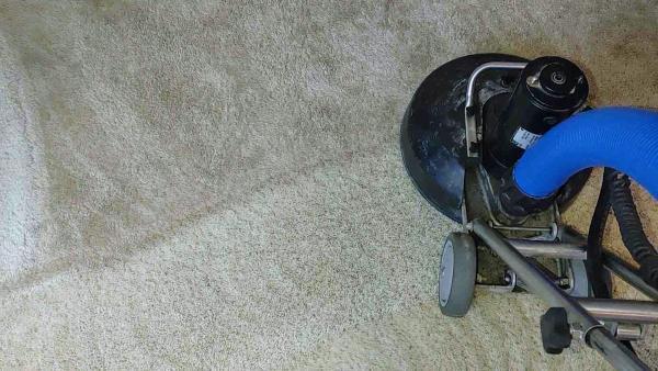 Grossbusters Carpet Cleaning