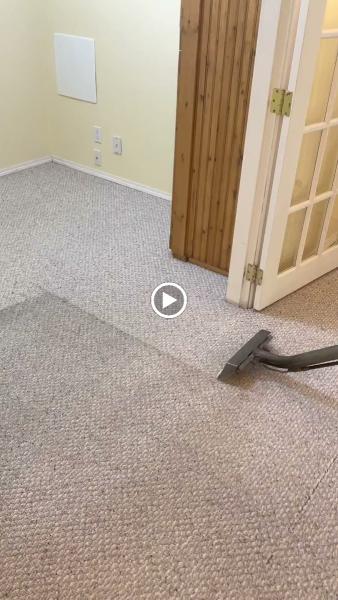 Grossbusters Carpet Cleaning