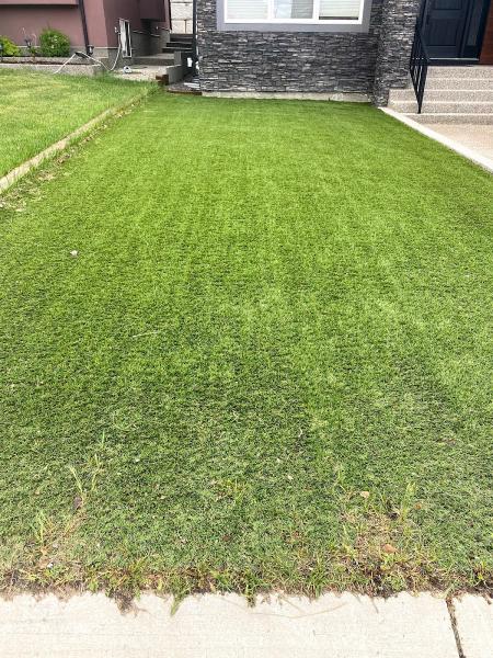 Perfect Turf Calgary