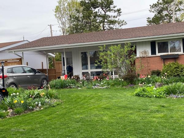 Trugreen Lawn Care