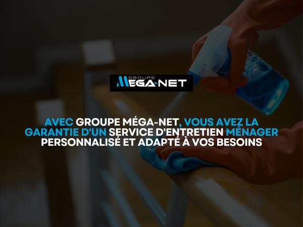 Groupe Méga-Net