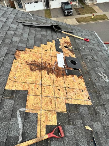 Your Roof Specialist