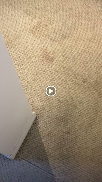 MKZ Hardwood Refinishing