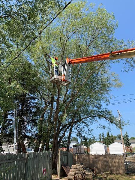 Sturgeon Valley Tree Service