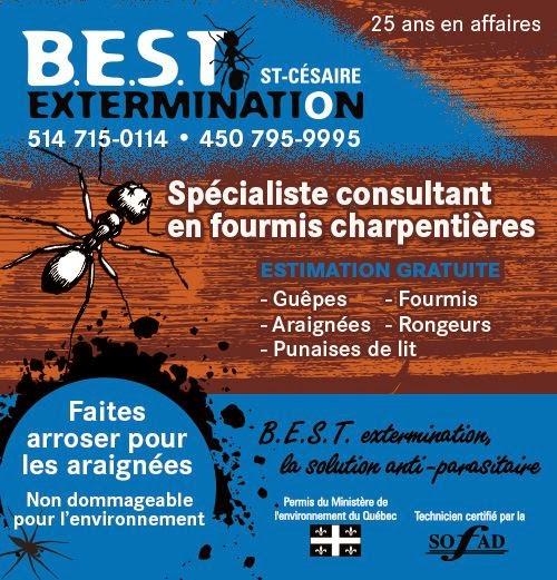 Best Extermination St-Césaire / Rougemont