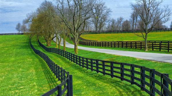 Abby Fence Contracting