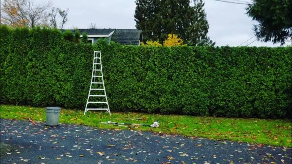Cutting Edge Tree Service Ltd.