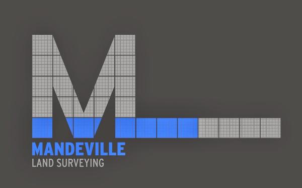 ML Surveying