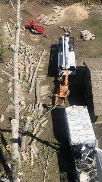 Living Skies Tree Service