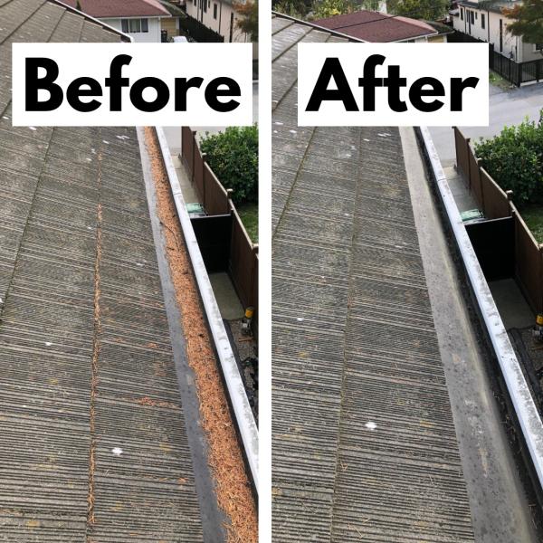 Pristine Gutter Cleaning