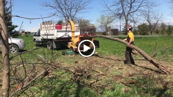 Southern Tree Service