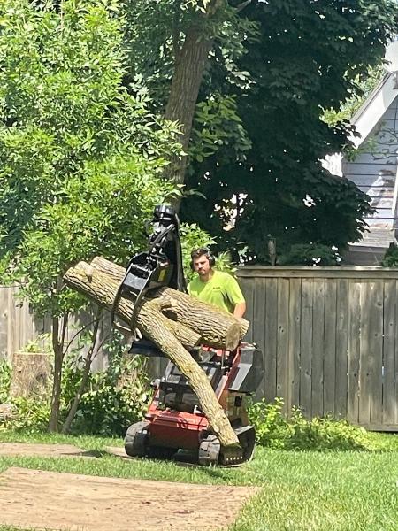 Southern Tree Service