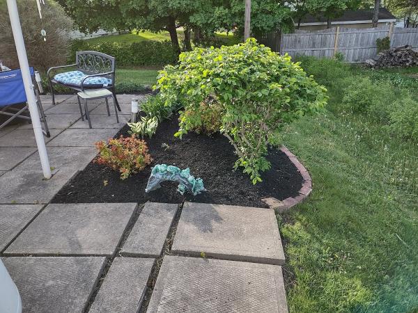 Price Landscaping Services