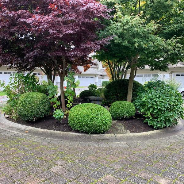 Belleview Landscaping
