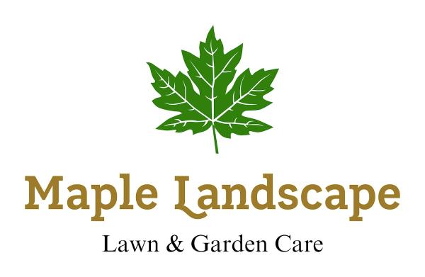 Maple Landscape