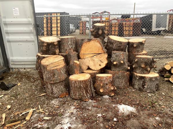 Trees Go Timber Ltd