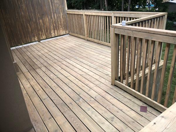 Paintreno.com