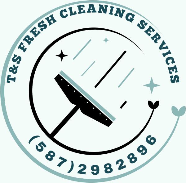T&S Fresh Cleaning Services