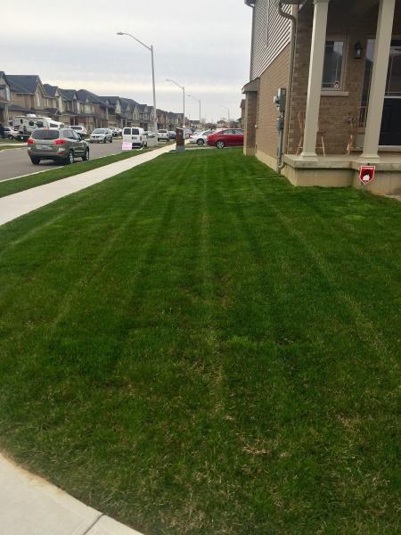 Fine Line Lawn Care & Landscaping