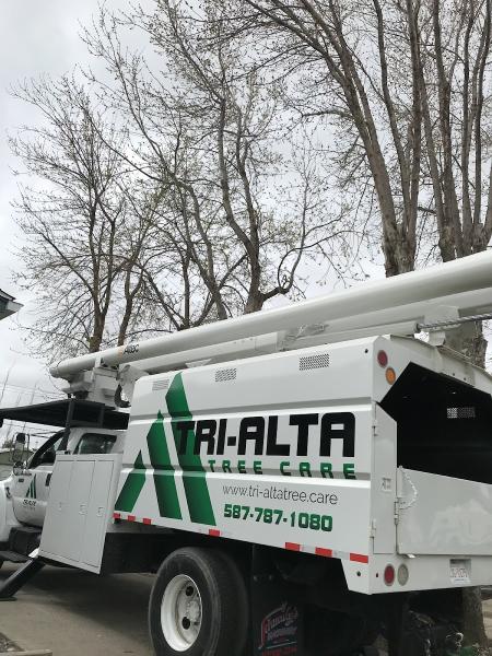 Tri-Alta Tree Care Inc