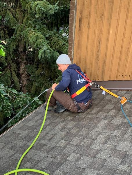 Paneless Window Cleaning