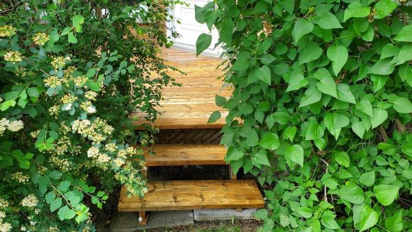 Clifford's Property Services