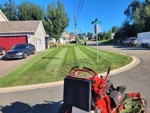 Mr Green Lawn Care and Snow Removal