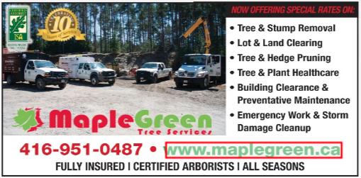 Maplegreen Tree Services